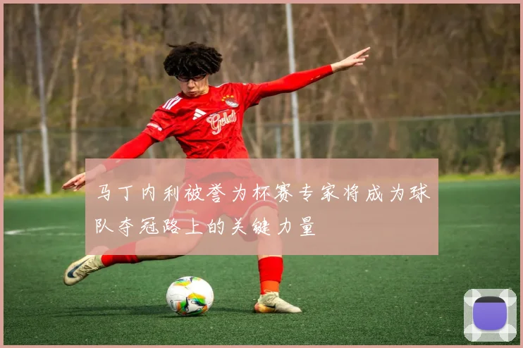 马丁内利被誉为杯赛专家将成为球队夺冠路上的关键力量