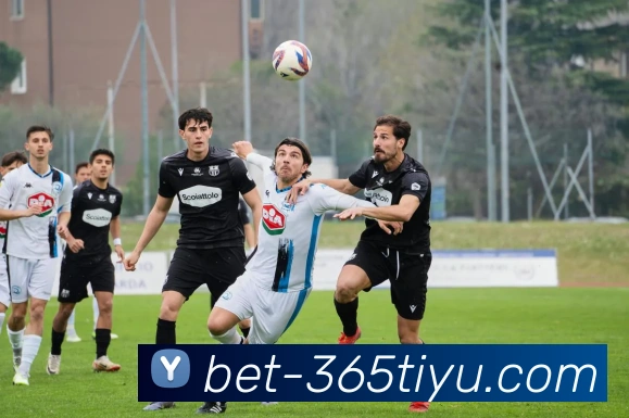 beats365体育发展历程