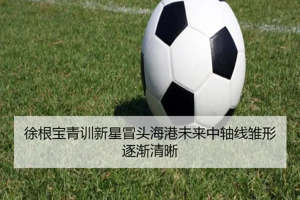 徐根宝青训新星冒头海港未来中轴线雏形逐渐清晰（beats365）